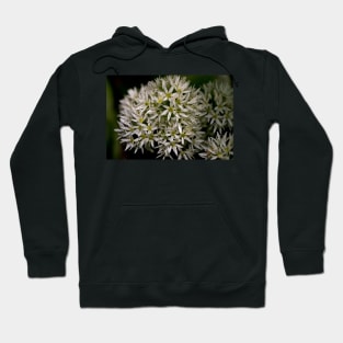 English Wild Garlic Hoodie